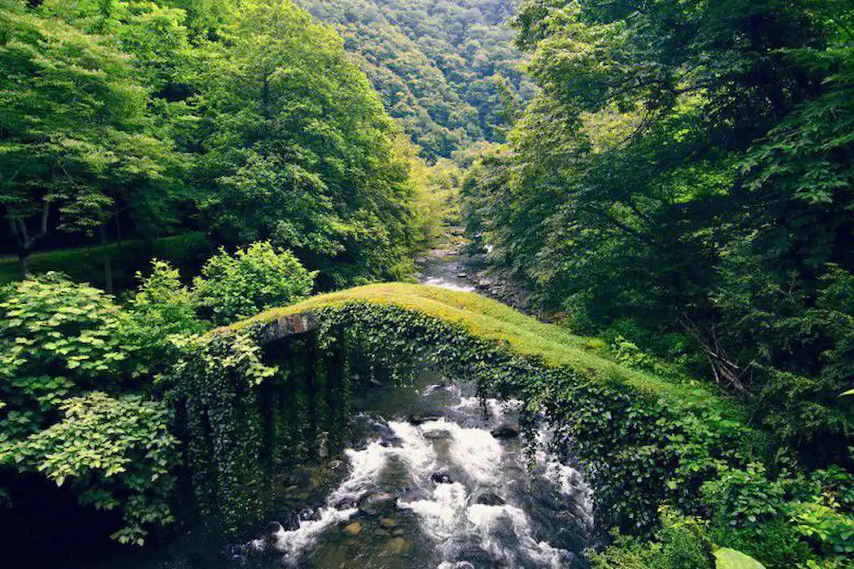 One-Day Private Tour to Borjomi