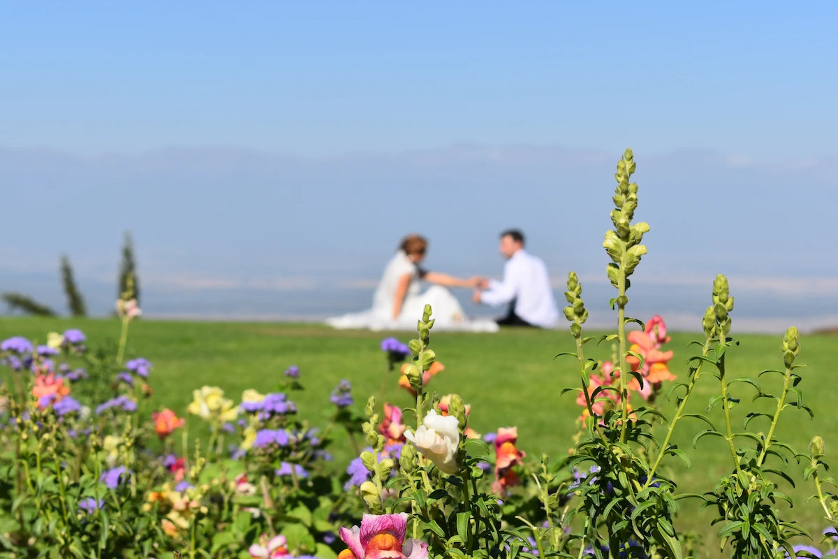 1-Day Private Tour to Bodbe and Sighnaghi