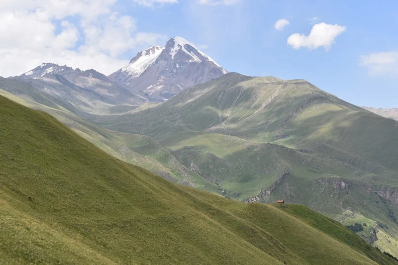 Georgi Travels Tour Photo