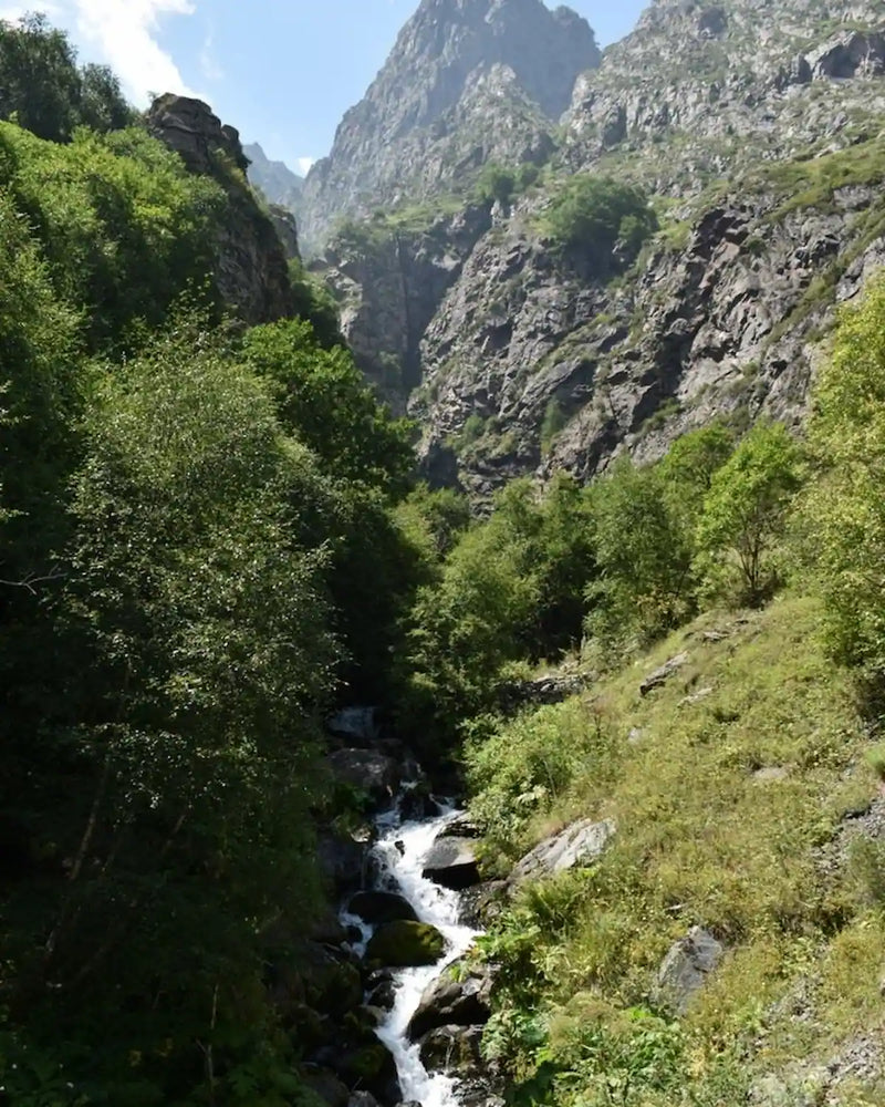 Georgi Travels Tour Photo