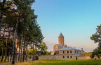 1-Day Private Tour to Telavi and Tsinandali