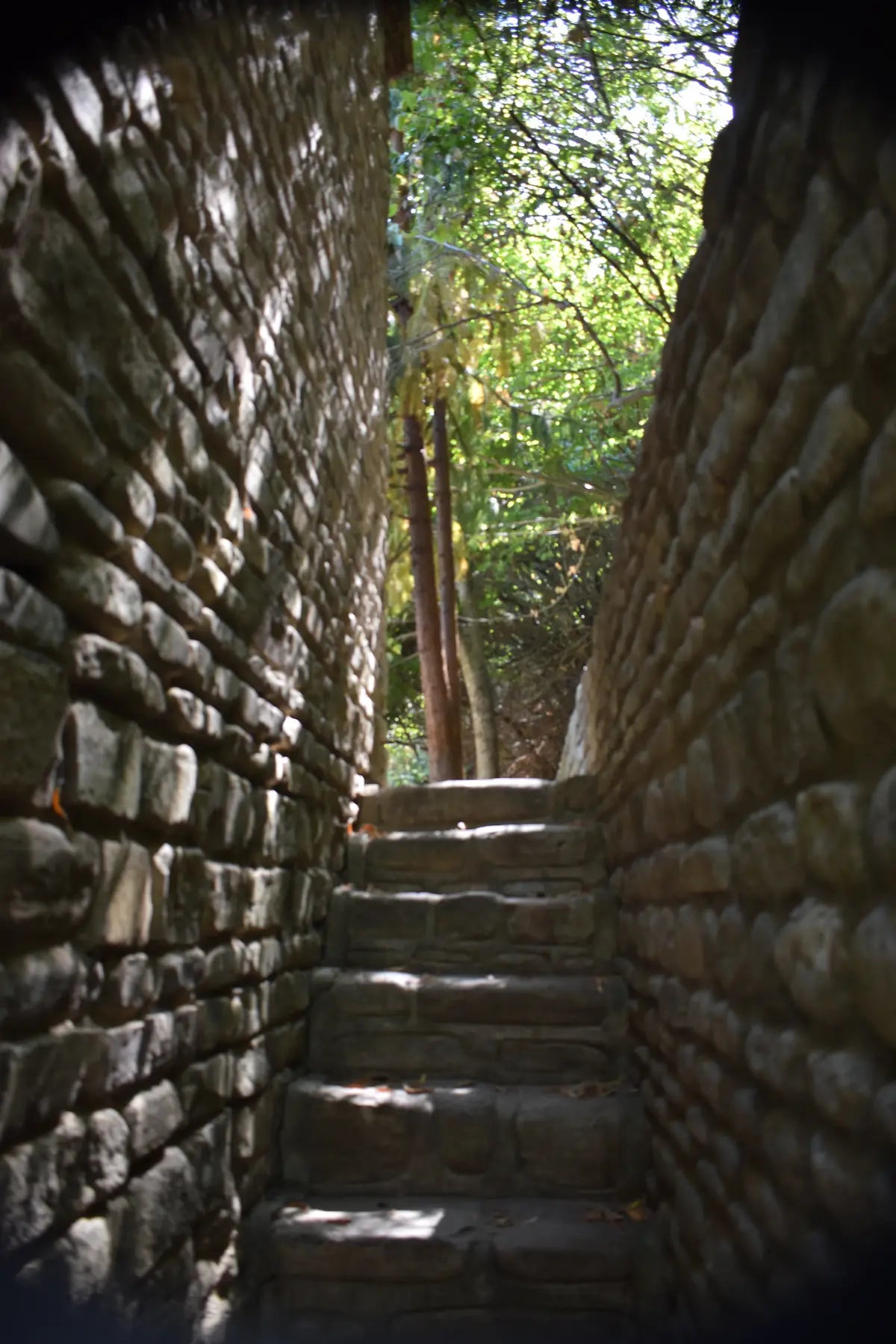 1-Day Private Tour to Bodbe and Sighnaghi