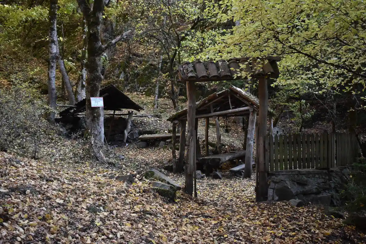 One-Day Private Tour to Borjomi