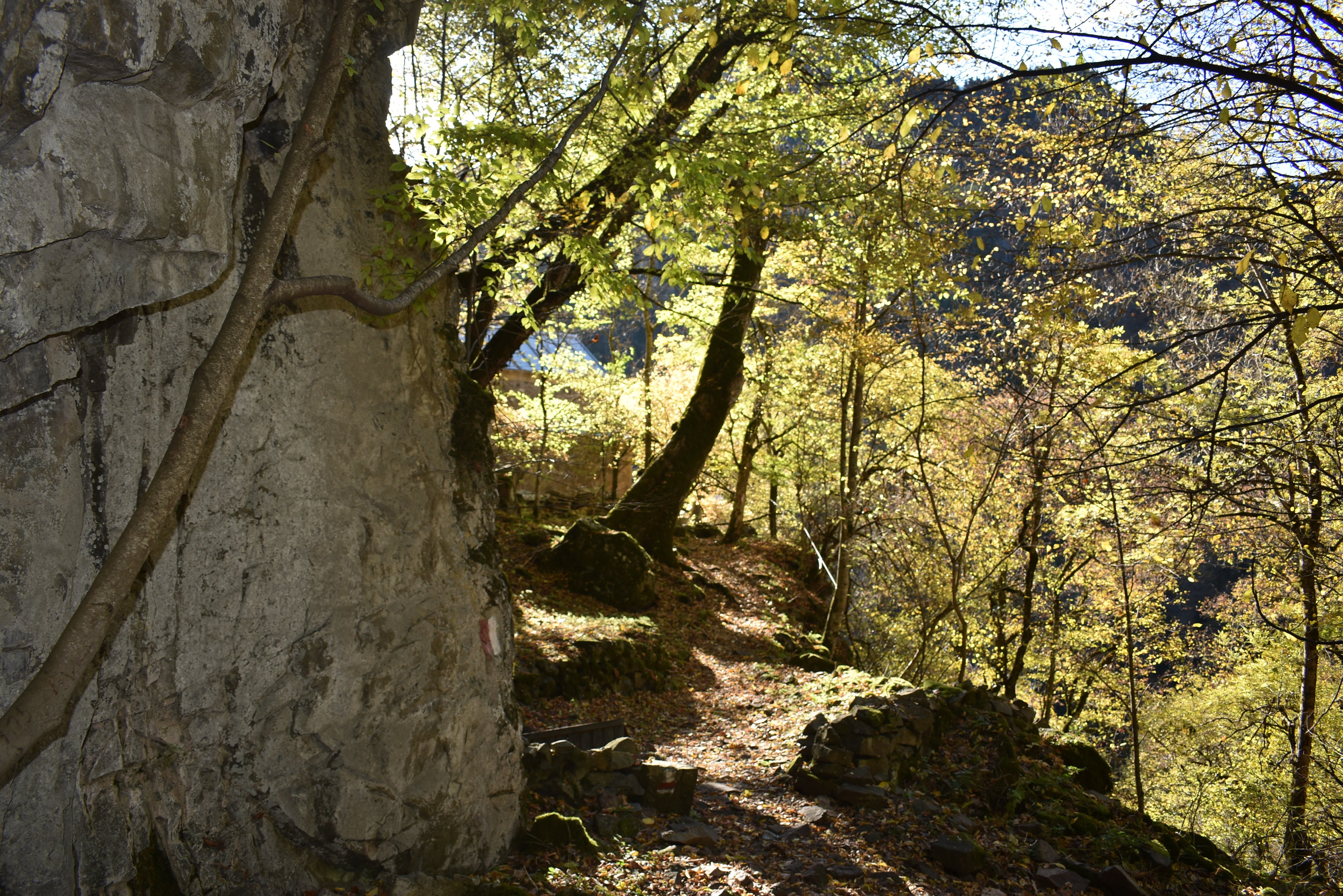 One-Day Tour to Borjomi
