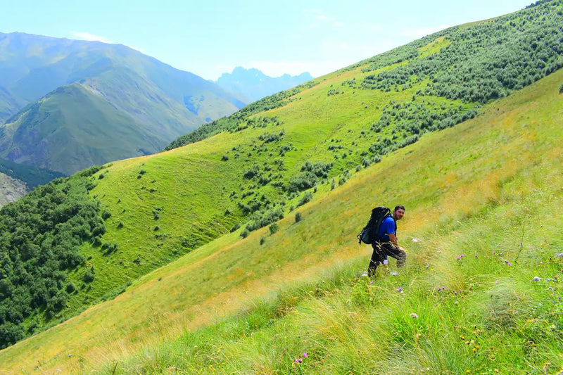 Georgi Travels Tour Photo