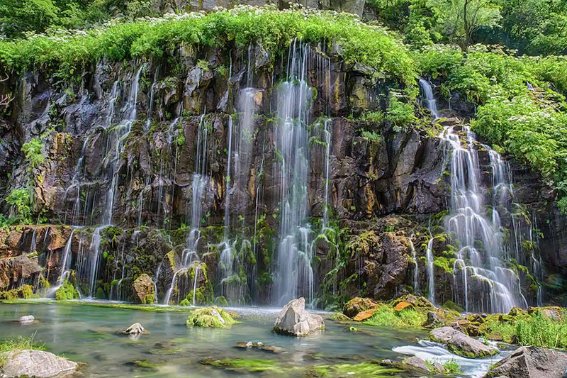 Georgi Travels Tour Photo