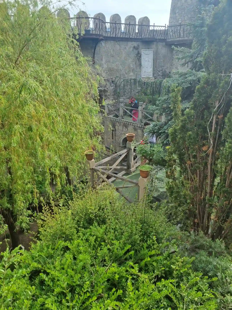 Georgi Travels Tour Photo