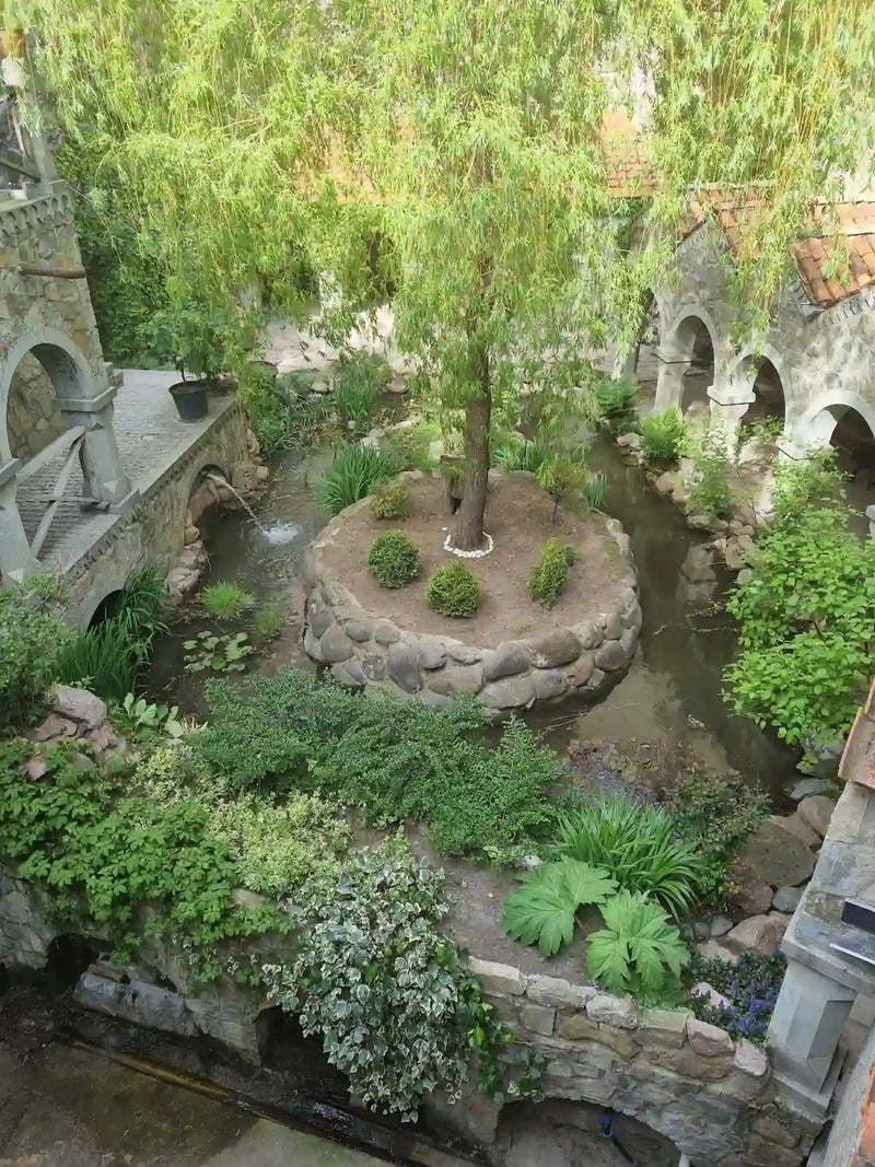 Georgi Travels Tour Photo