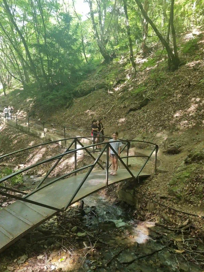 Georgi Travels Tour Photo