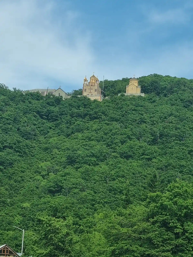 Georgi Travels Tour Photo