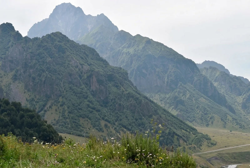 Georgi Travels Tour Photo