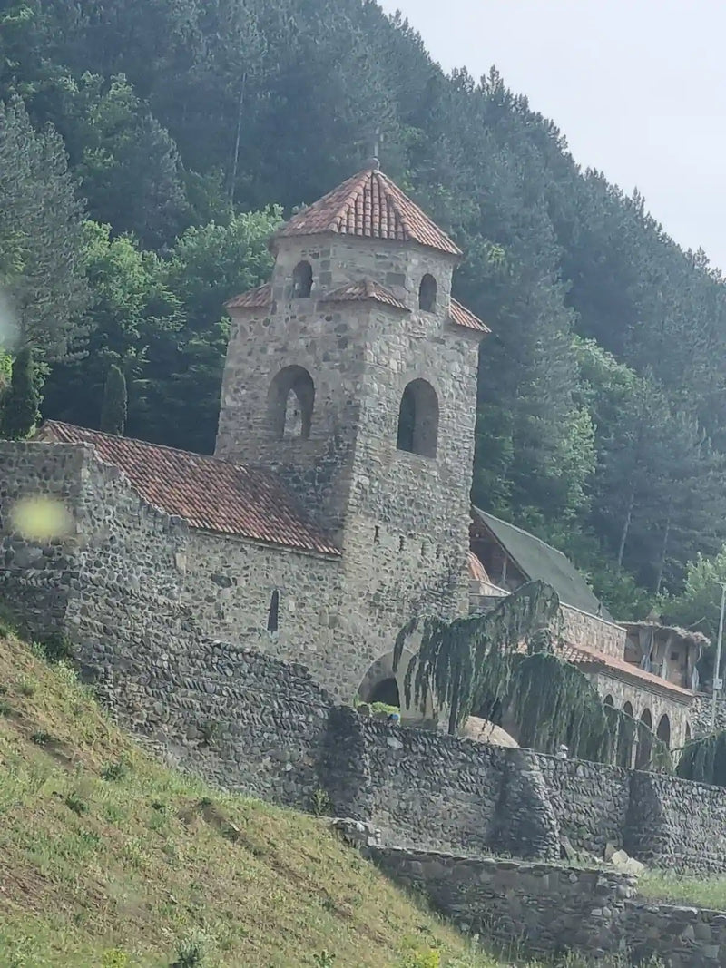 Georgi Travels Tour Photo