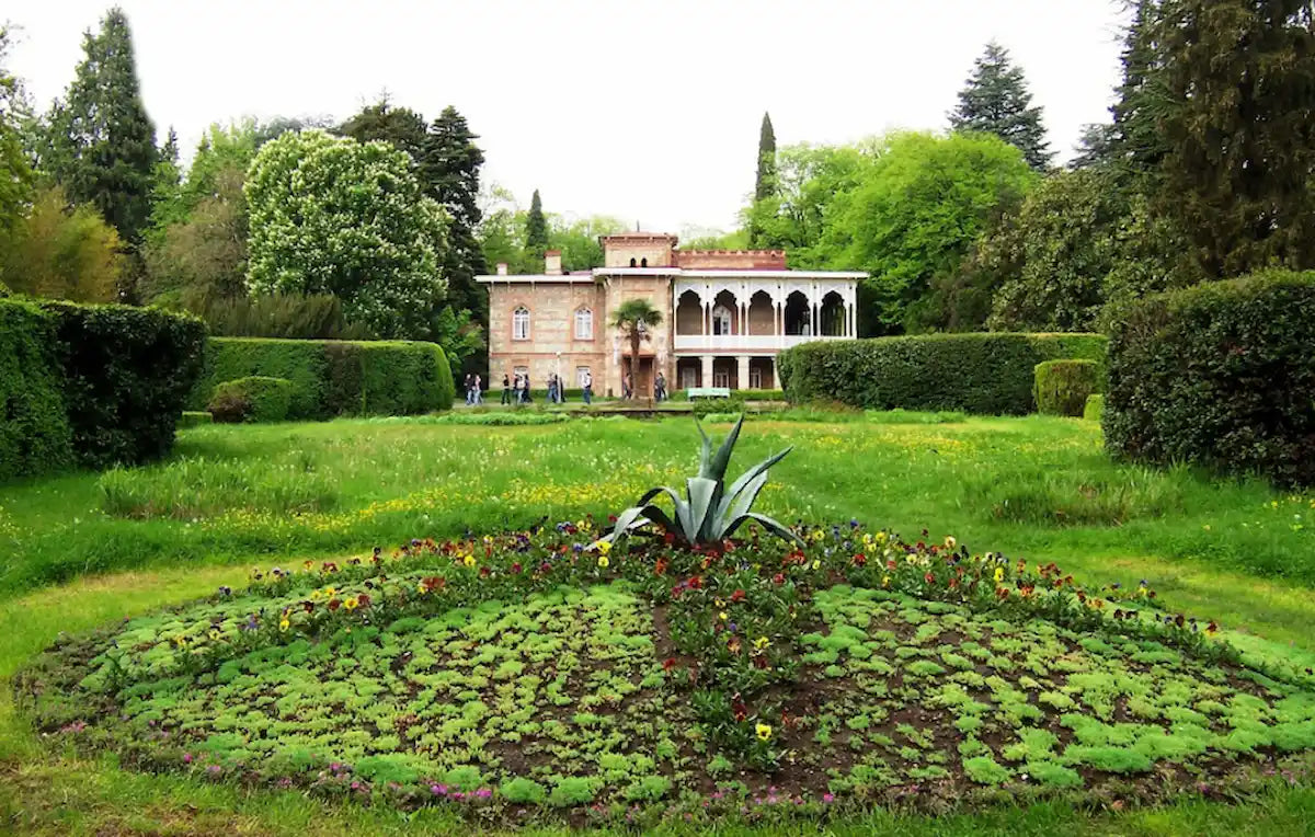 1-Day Private Tour to Telavi and Tsinandali