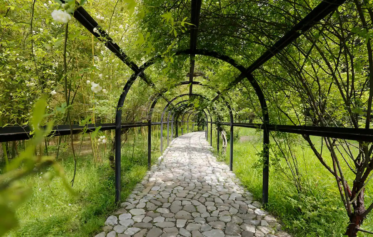 1-Day Private Tour to Telavi and Tsinandali