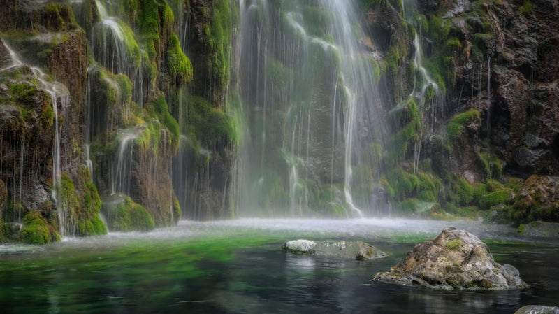 Georgi Travels Tour Photo
