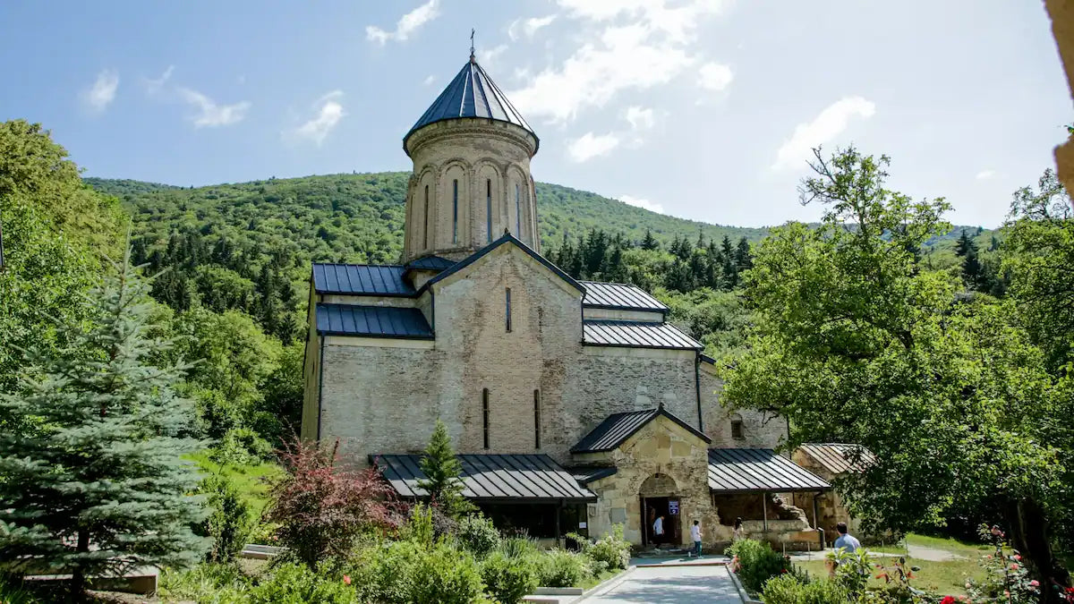 One-Day Private Tour to Dzama Valley