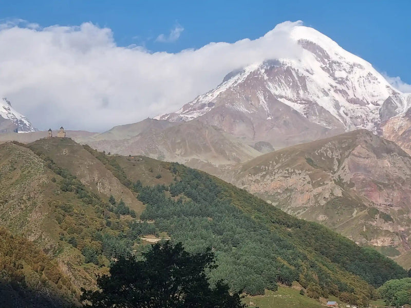 Georgi Travels Tour Photo
