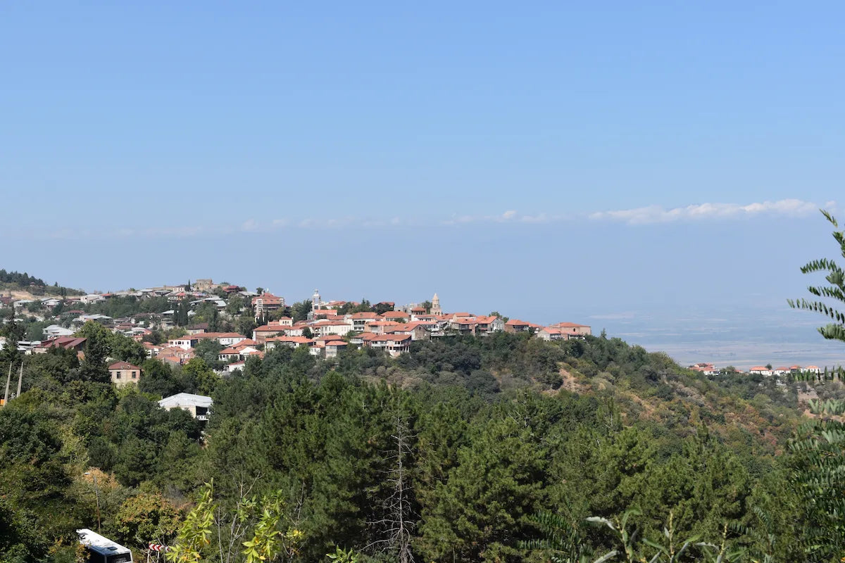 Panoramic view of Sighnaghi, Georgia, the City of Love, overlooking the Alazani Valley under a clear blue sky.