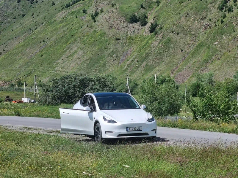 Georgi Travels Tour Photo